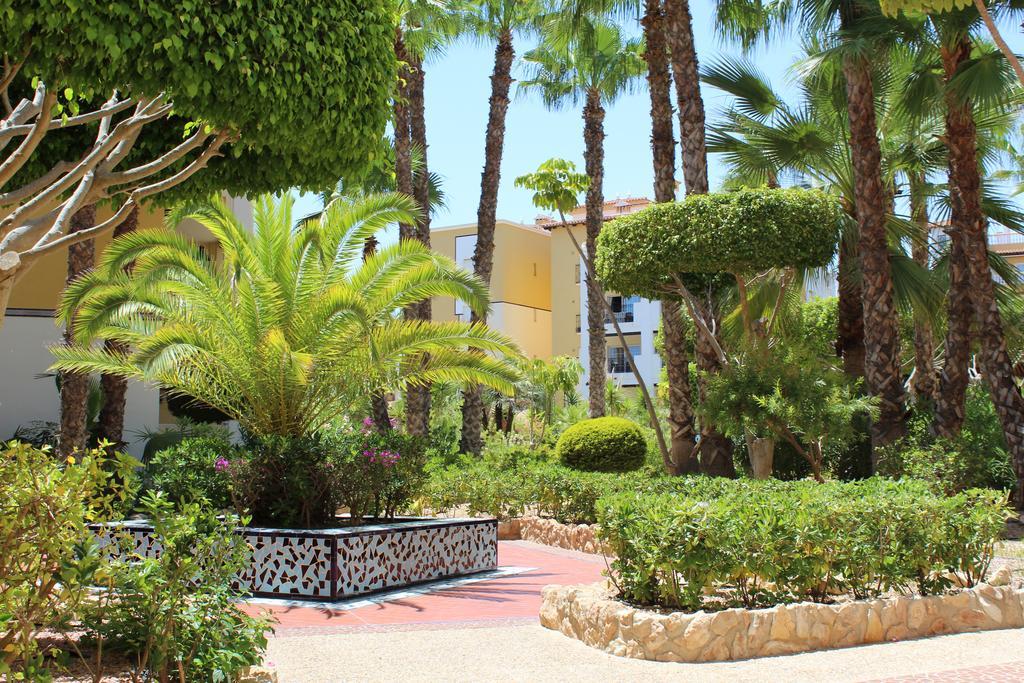 Апартаменти Aldea Del Mar Торрев'єха Екстер'єр фото